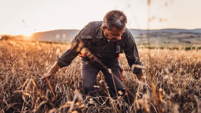 Ownership door strategie en actieplan