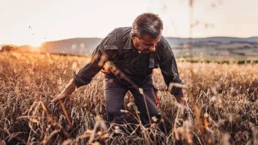 Ownership door strategie en actieplan